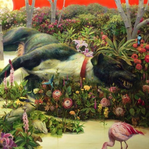 Rival Sons Feral roots CD standard