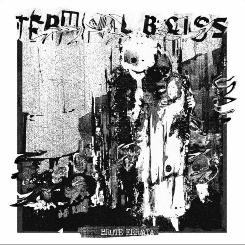 Terminal Bliss Brute Err / Ata CD standard