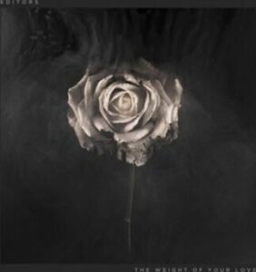 Editors The weight of your love 2-CD standard