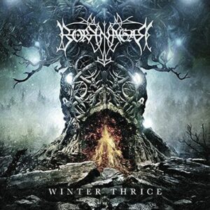 Borknagar Winter thrice CD standard