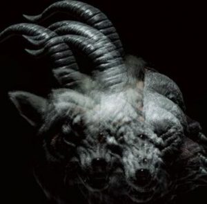 The Gazette Beautiful deformity CD standard