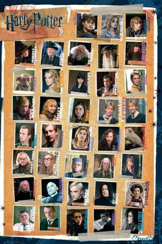 Harry Potter Characters plakát vícebarevný