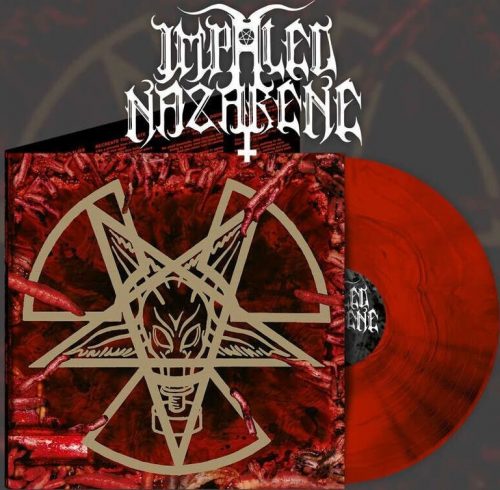 Impaled Nazarene All that you fear LP mramorovaná