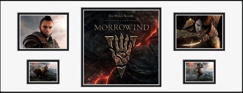 The Elder Scrolls Online - Morrowind (Storyboard) Zarámovaný obraz vícebarevný