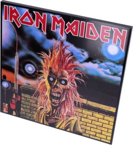 Iron Maiden Iron Maiden Obrazy vícebarevný