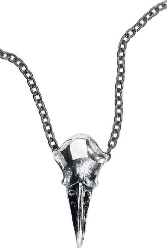 Alchemy Gothic Rabenschädel Klein Náhrdelník - řetízek standard