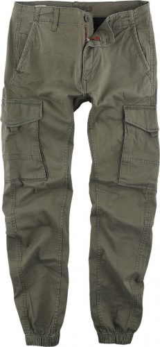 Jack & Jones JJIPAUL JJFLAKE AKM Cargo kalhoty olivová