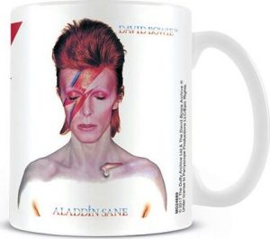 David Bowie Aladdin Sane Hrnek standard