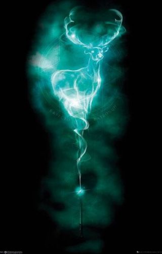 Harry Potter Patronus Stag plakát vícebarevný