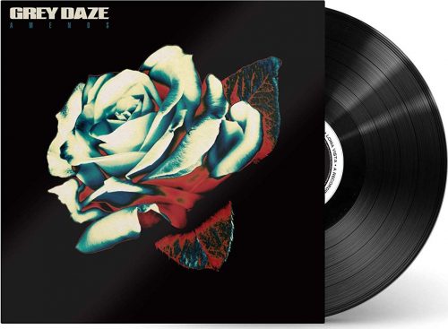 Grey Daze Amends LP standard