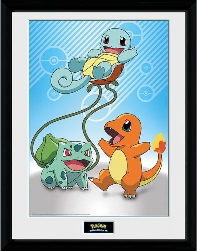 Pokémon Kanto Starters Zarámovaný obraz standard