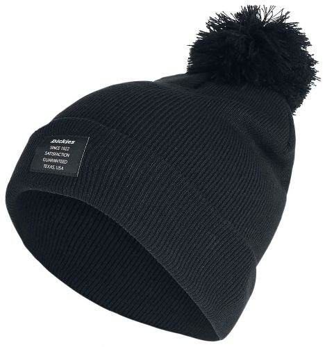 Dickies Edgeworth Beanie čepice černá