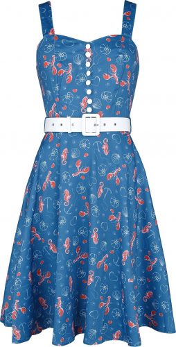 Voodoo Vixen Nautical Print Button Detail Flare Dress Šaty vícebarevný