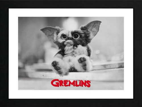 Gremlins Gizmo Zarámovaný obraz standard