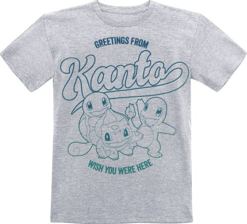 Pokémon Kids - Greetings From Kanto detské tricko prošedivelá