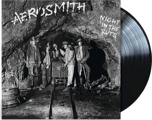 Aerosmith Night in the ruts LP standard