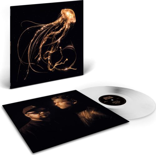 Royal Blood Back to the water below LP standard