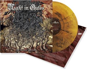 Night In Gales The black stream LP standard