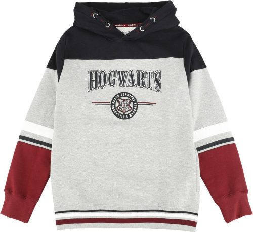 Harry Potter Kids - Hogwarts - England Made detská mikina s kapucí vícebarevný