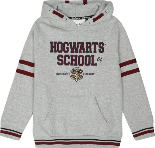 Harry Potter Kids - Hogwarts School detská mikina s kapucí vícebarevný