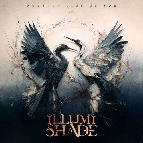 Illumishade Another side of you 2-LP standard