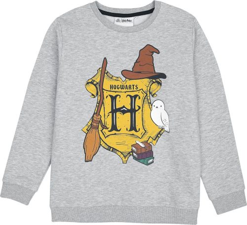 Harry Potter Kids - Hogwarts detská mikina šedá
