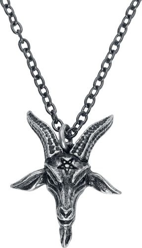 Alchemy Gothic Přívěsek Templar's Bane Náhrdelník - řetízek stríbrná