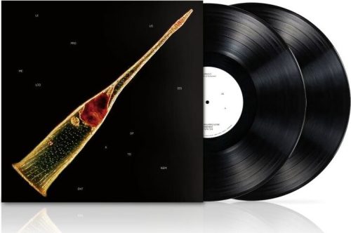 Leprous Melodies of atonement 2-LP standard