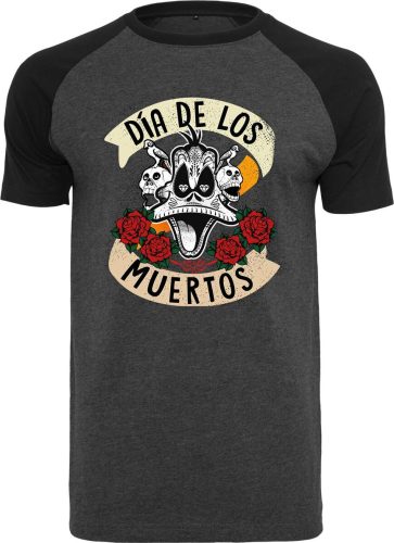 Looney Tunes Duffy Duck - Dia De Los Muertos Tričko šedá/cerná