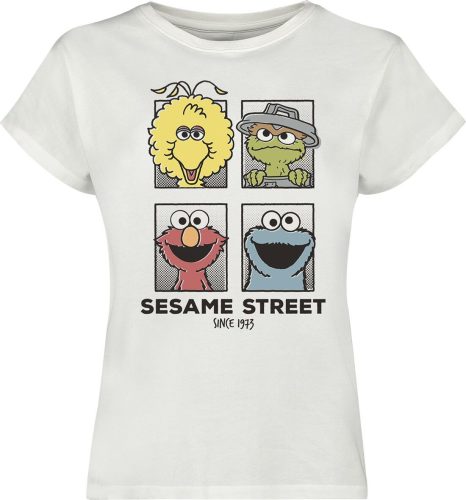 Sesame Street Friends Dámské tričko šedobílá