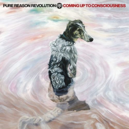 Pure Reason Revolution Coming up to consciousness CD & DVD standard