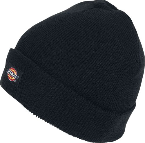 Dickies Gibsland Beanie čepice černá