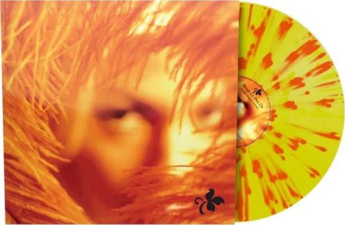 Stone Temple Pilots Shangri-La dee da LP standard