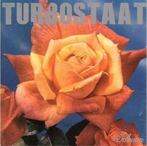 Turbostaat Schwan LP standard