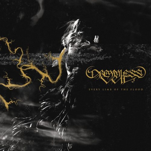 Dreamless Veil Every limb of the flood LP standard