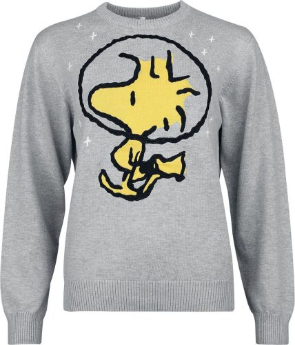 Peanuts Woodstock Dámnský svetr prošedivelá