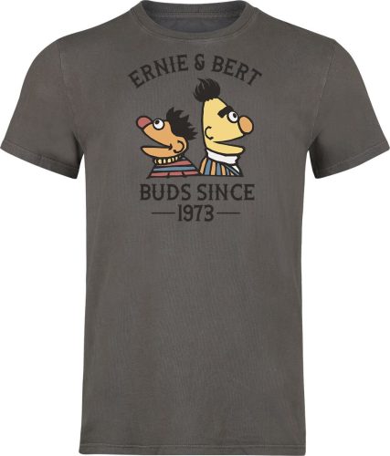 Sesame Street Ernie und Bert - Bros Since 1973 Tričko šedá