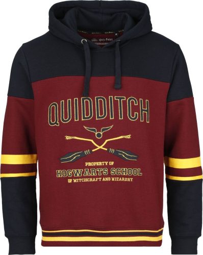 Harry Potter Gryffindor - Hogwarts School Mikina s kapucí vícebarevný