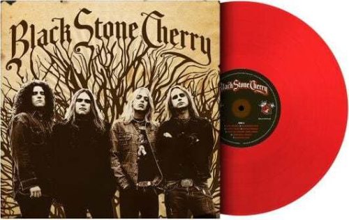 Black Stone Cherry Black Stone Cherry LP standard