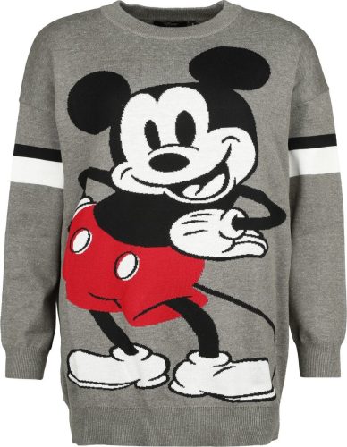 Mickey & Minnie Mouse Svetr Mickey Mouse Pletený svetr šedá