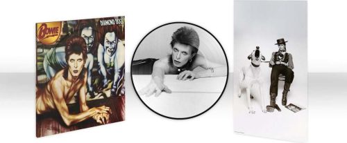 David Bowie Diamond dogs (50th anniversary) LP obrázek