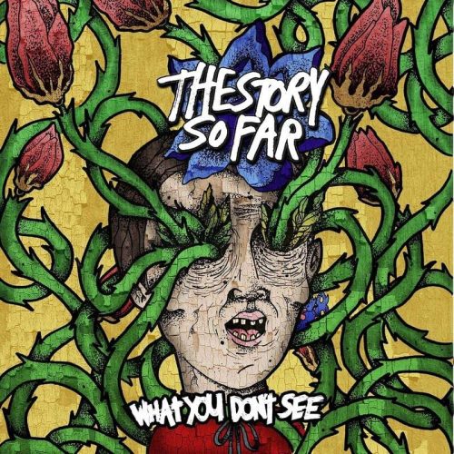 The Story So Far What you don't see LP standard