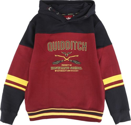 Harry Potter Kids - Gryffindor - Hogwarts School detská mikina s kapucí vícebarevný