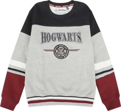 Harry Potter Kids - Hogwarts - England Made detská mikina vícebarevný